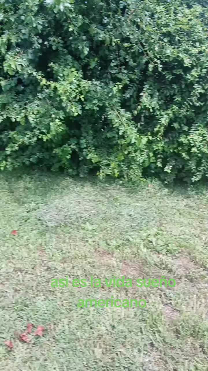 @KAIBIL 2010