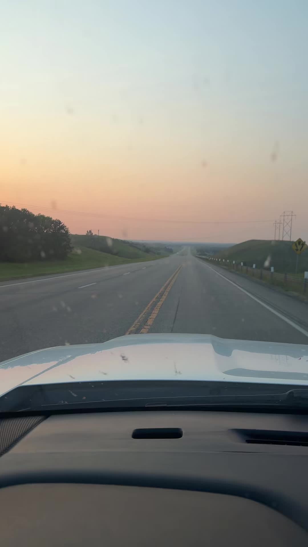 @CALIBOI559