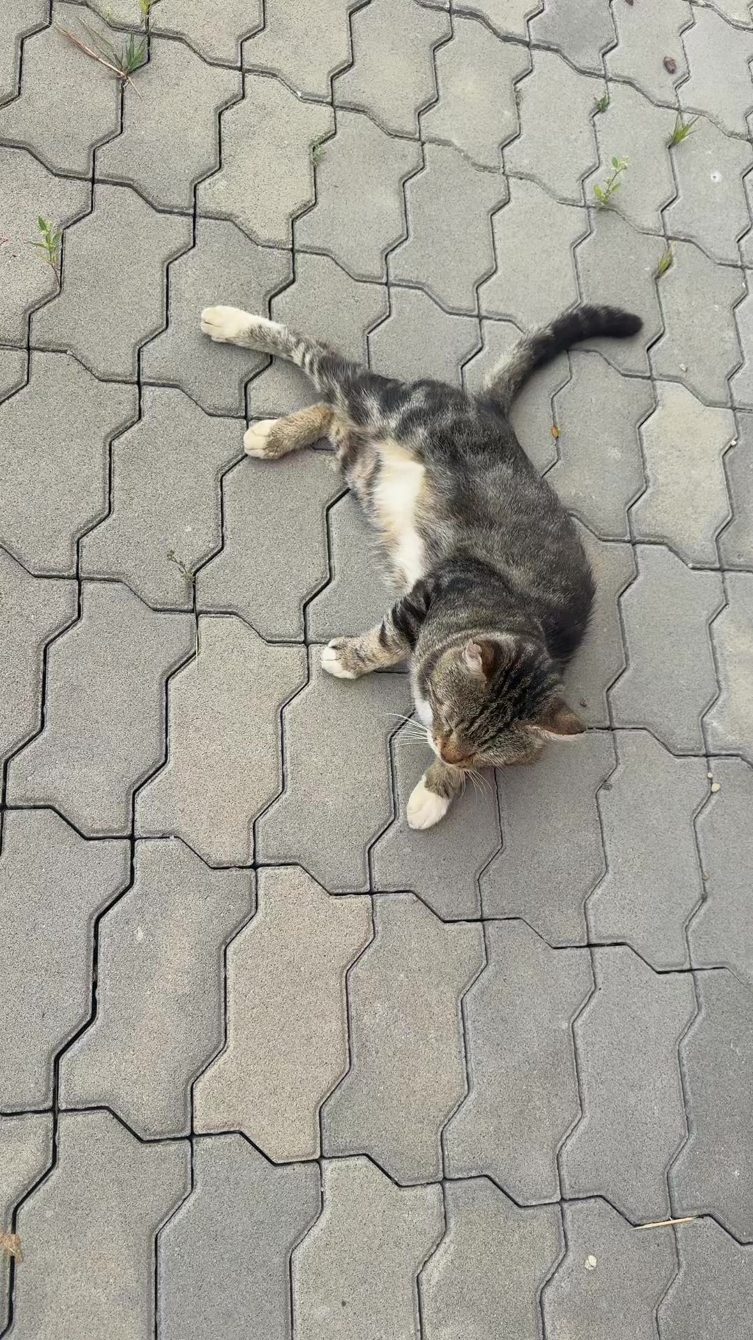 @бебебе