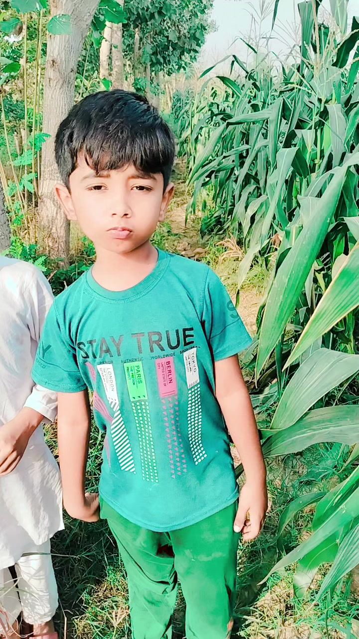 @Zaheer Farooqi