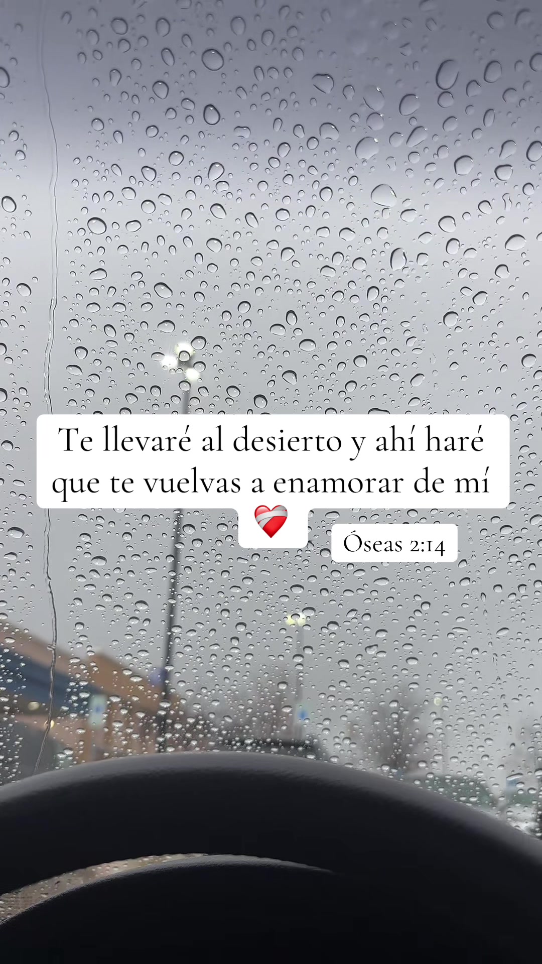 @Miguel de pa&uacute;l