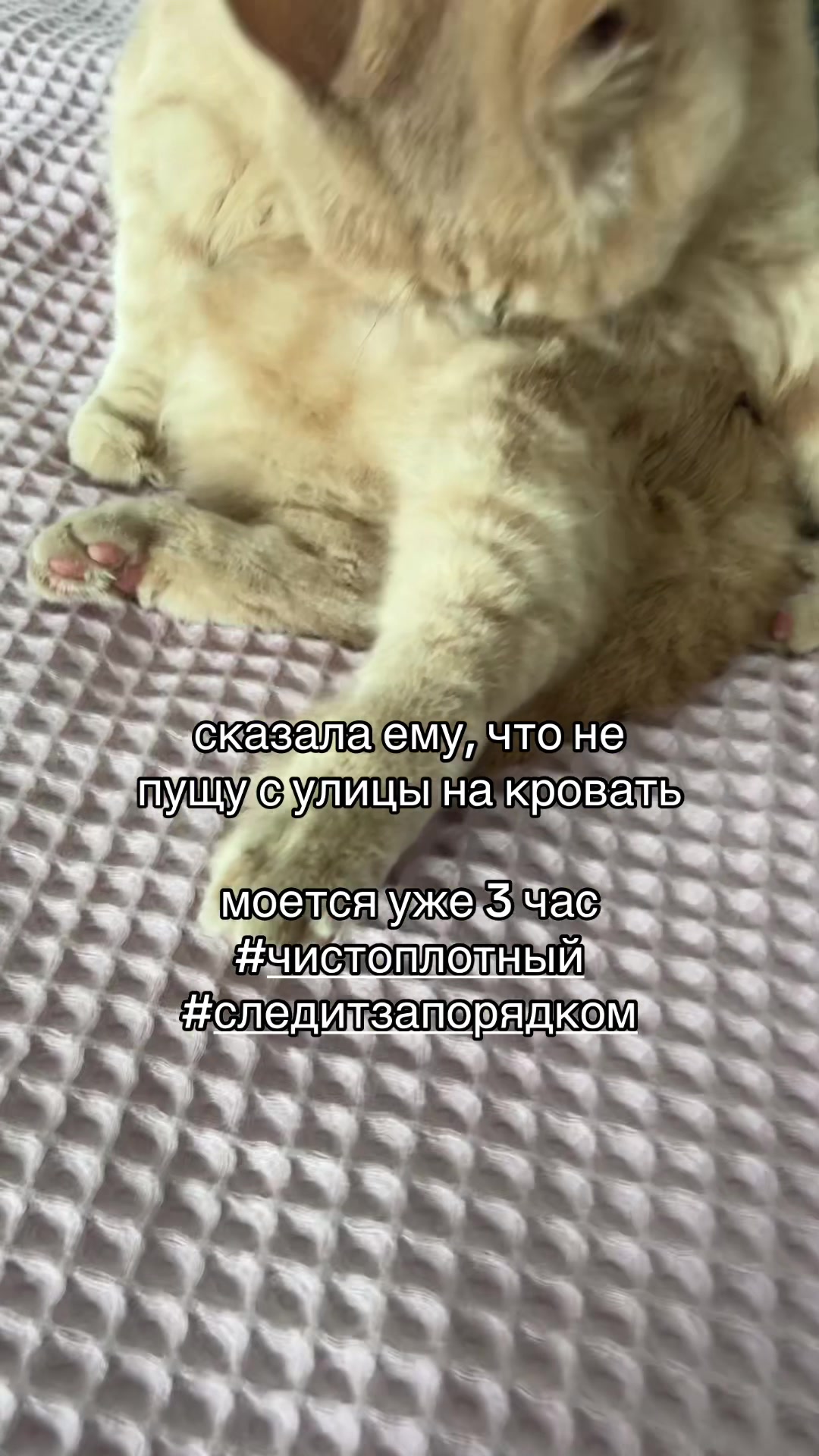 @dara