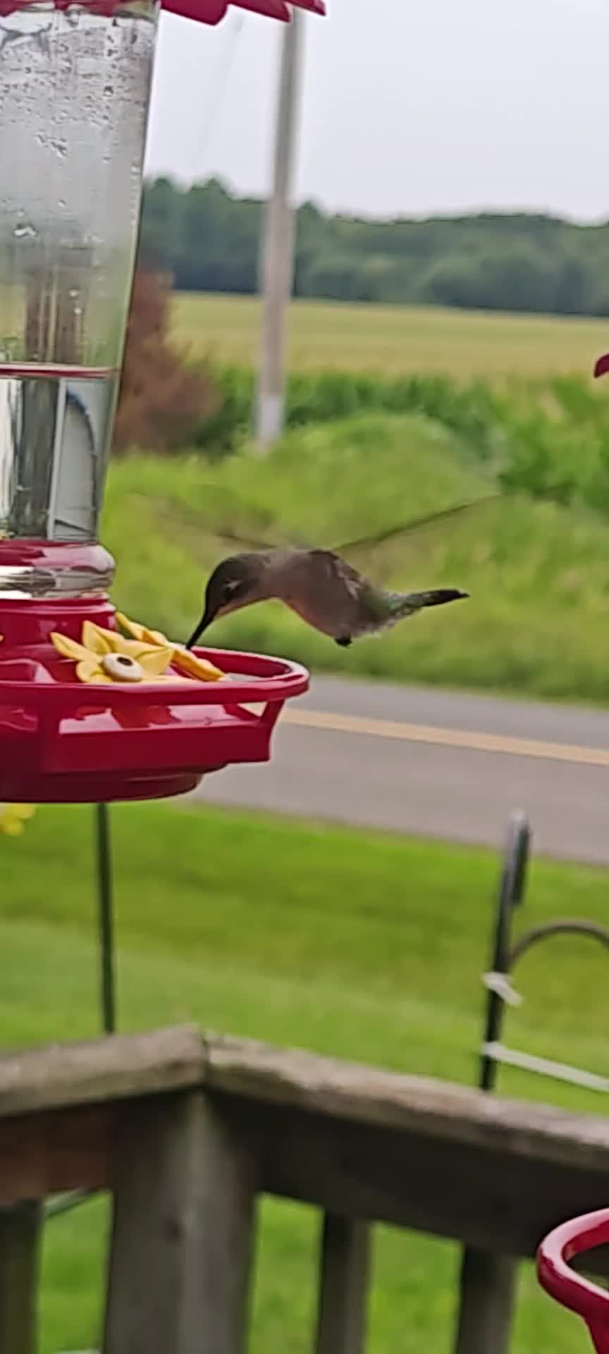 @RossManley