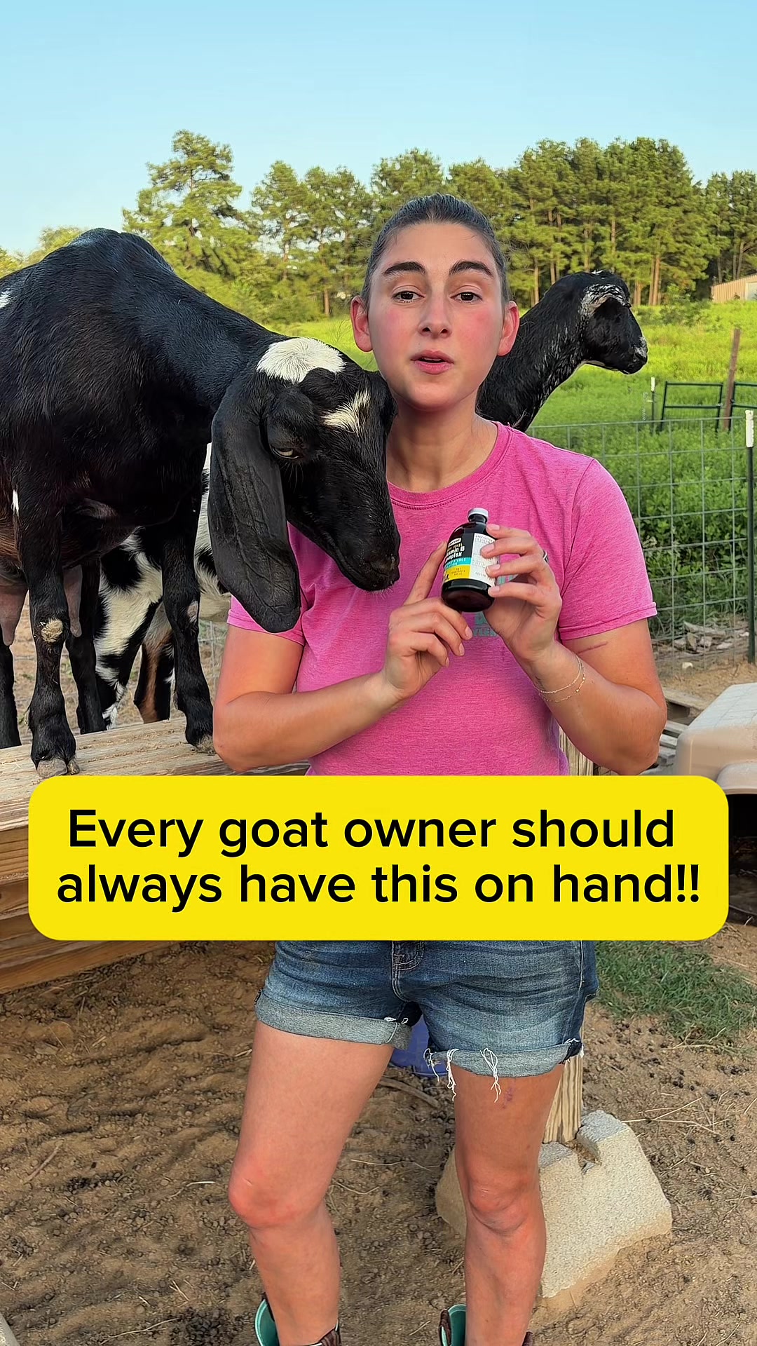 @Heart & Hoof Homestead