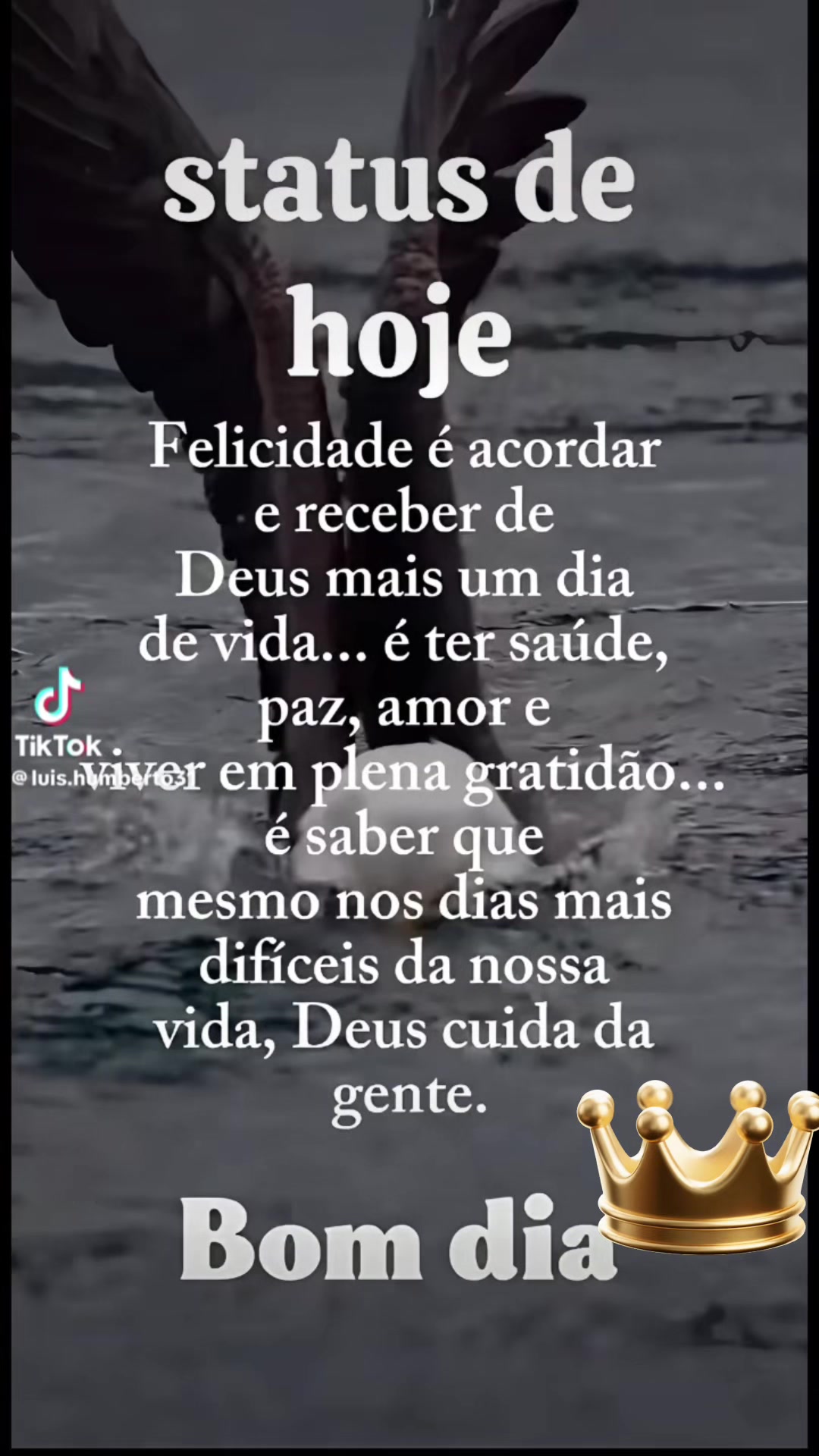@Sandra Vidal