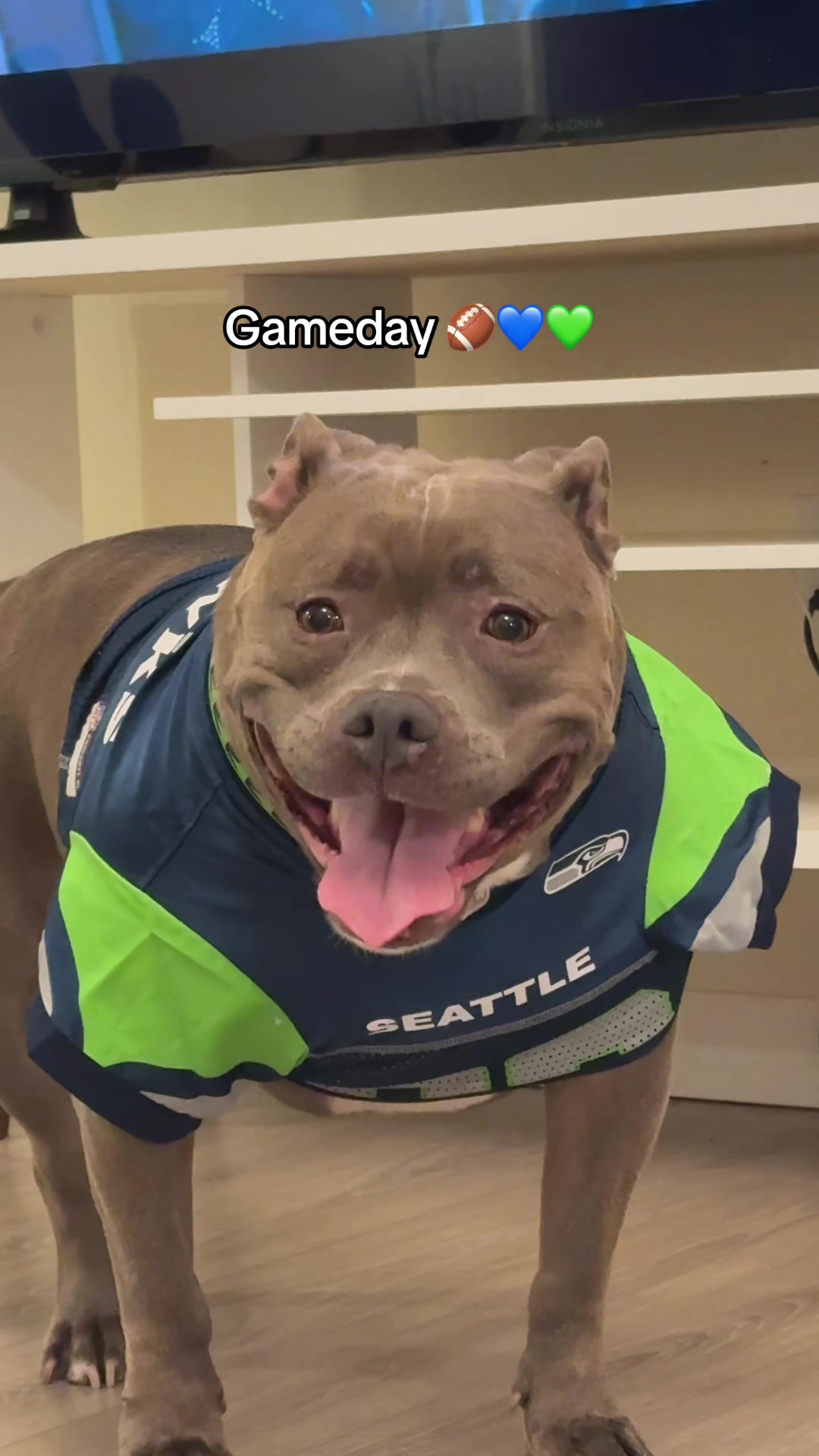 @IG: @lou.the.bully