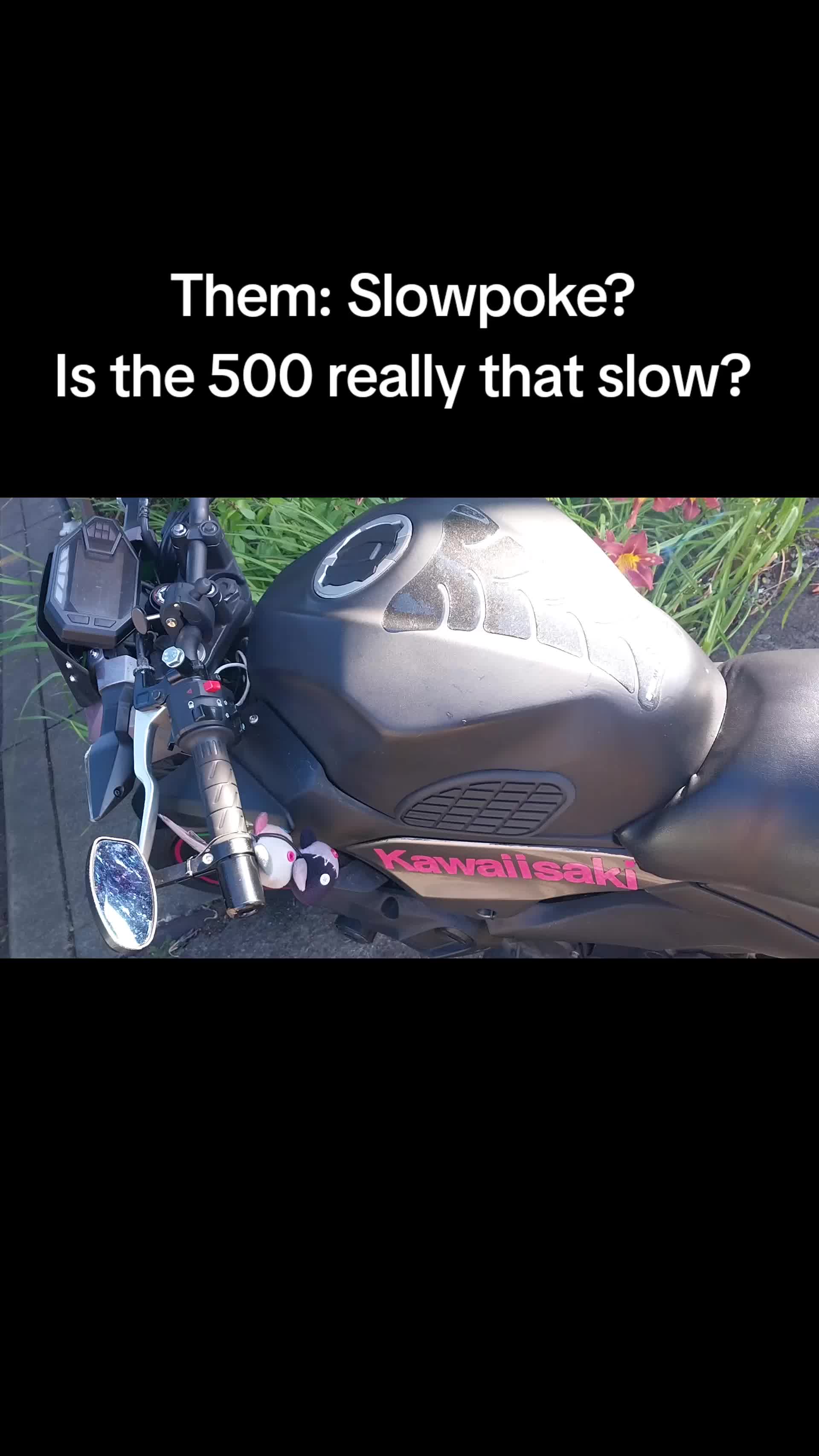 @slowpokez500