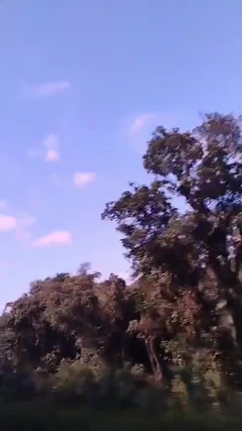 @Odete Araujo