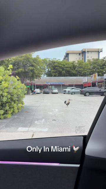 @JP🍔🦅