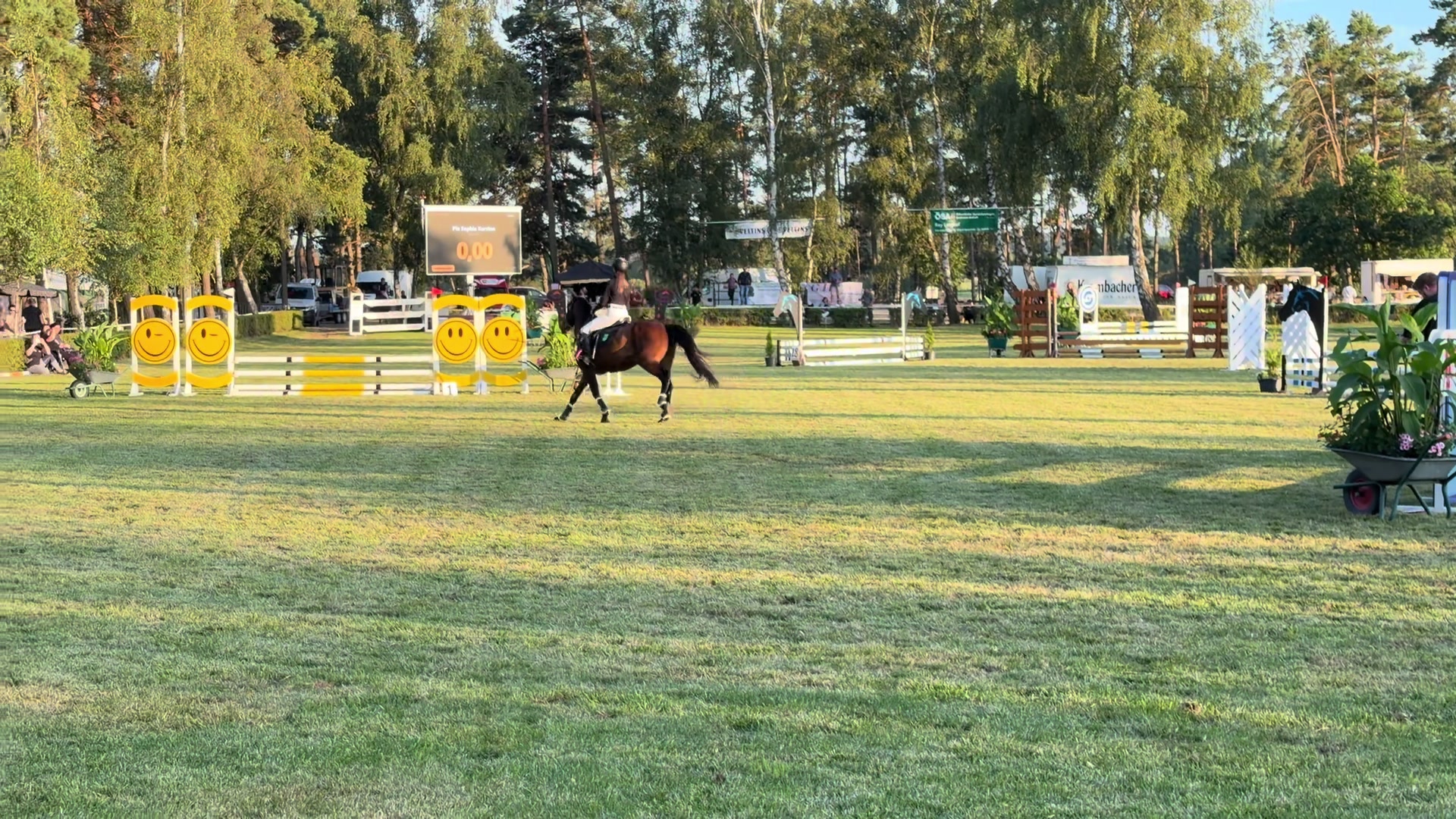 @springpony_donar