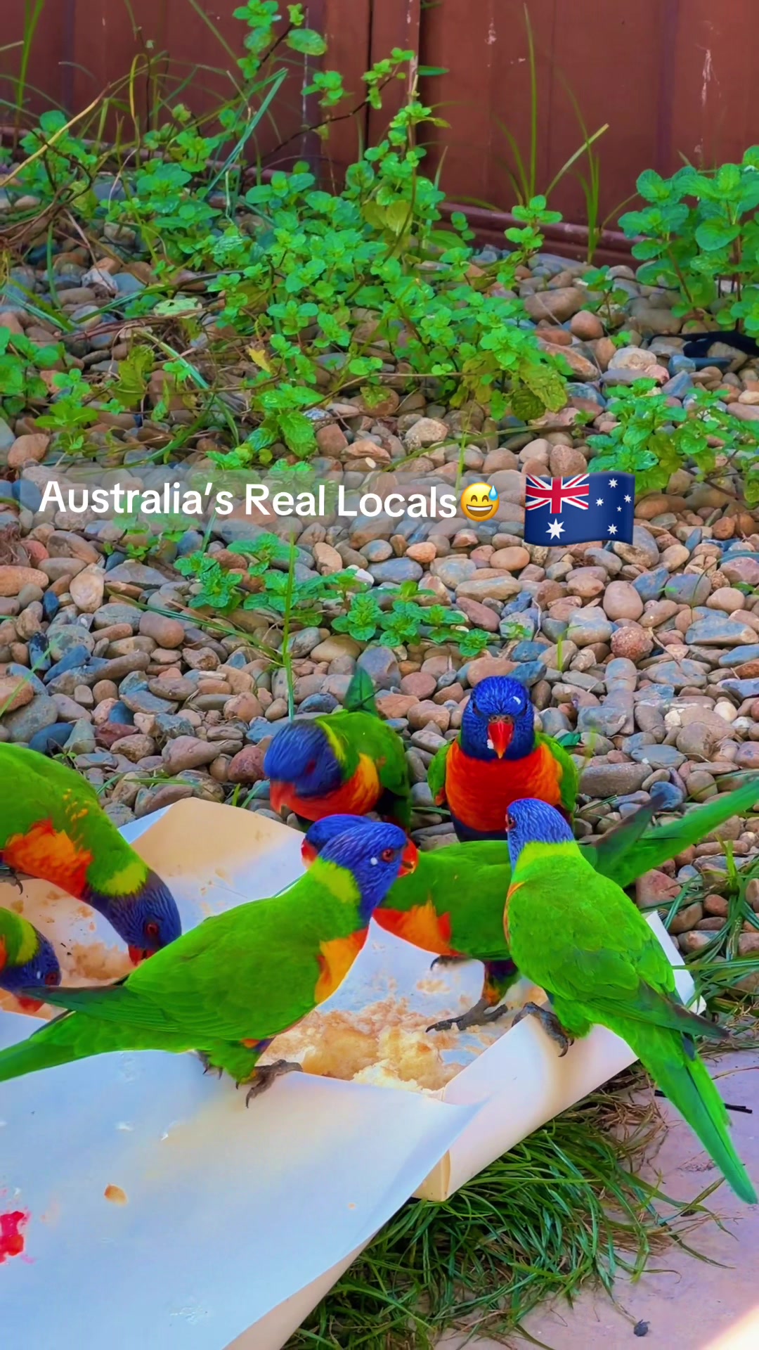 @Khan🇦🇺