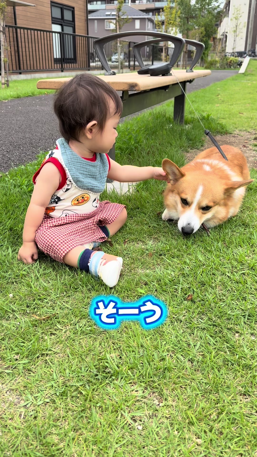 @トロン