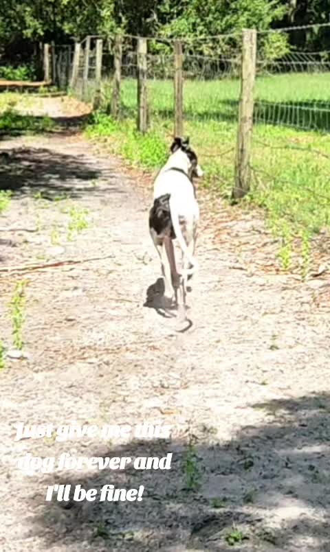 @BeniTheRetiredRacer