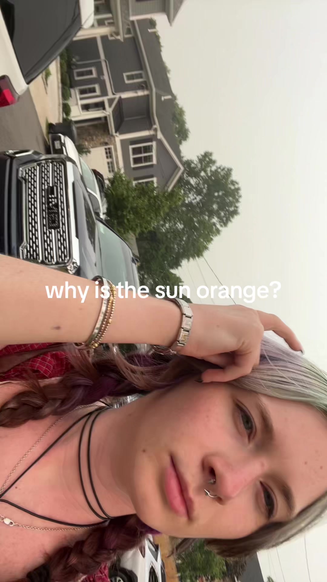 @neve 🦭