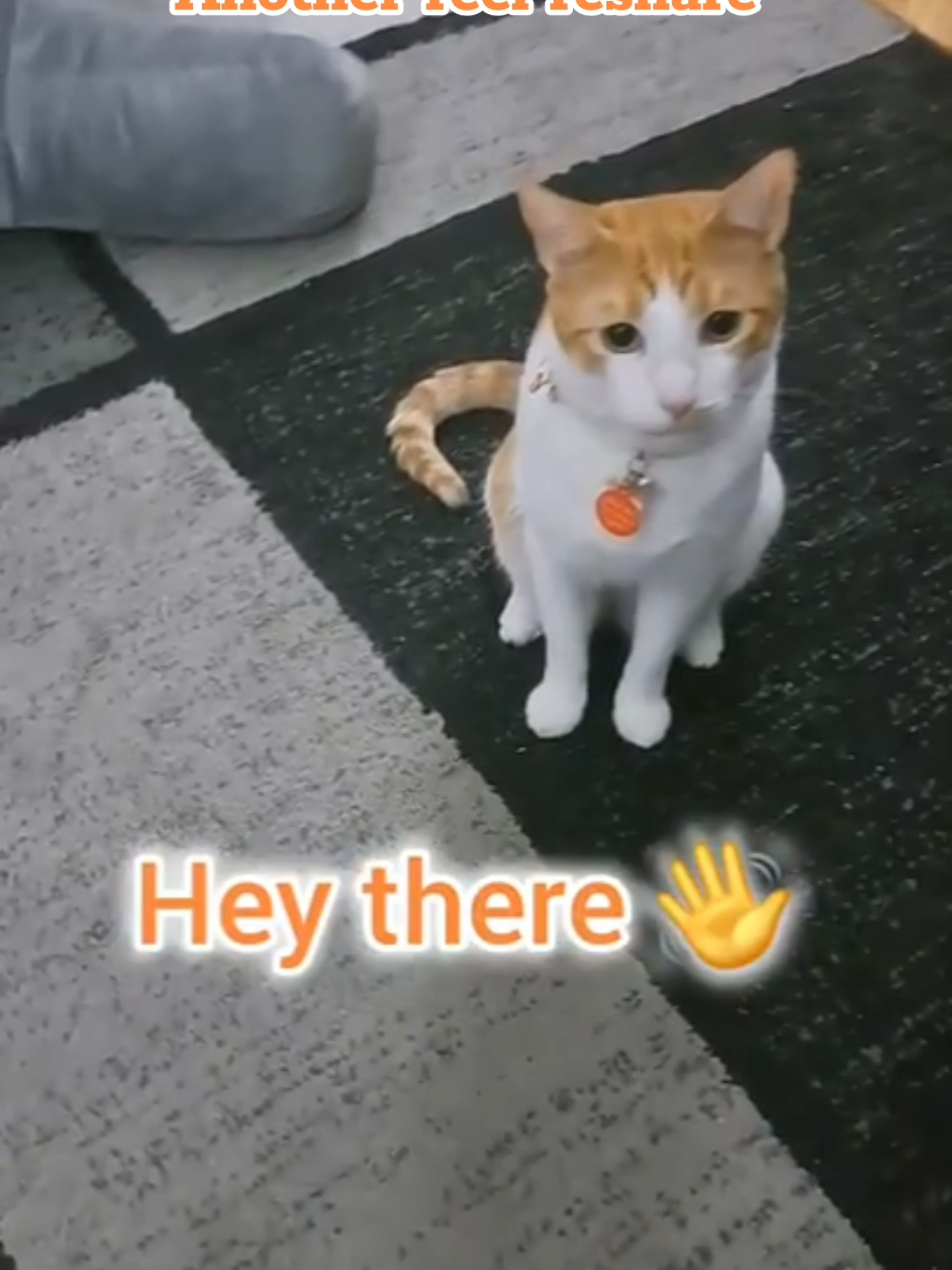 @Candice & Weasley