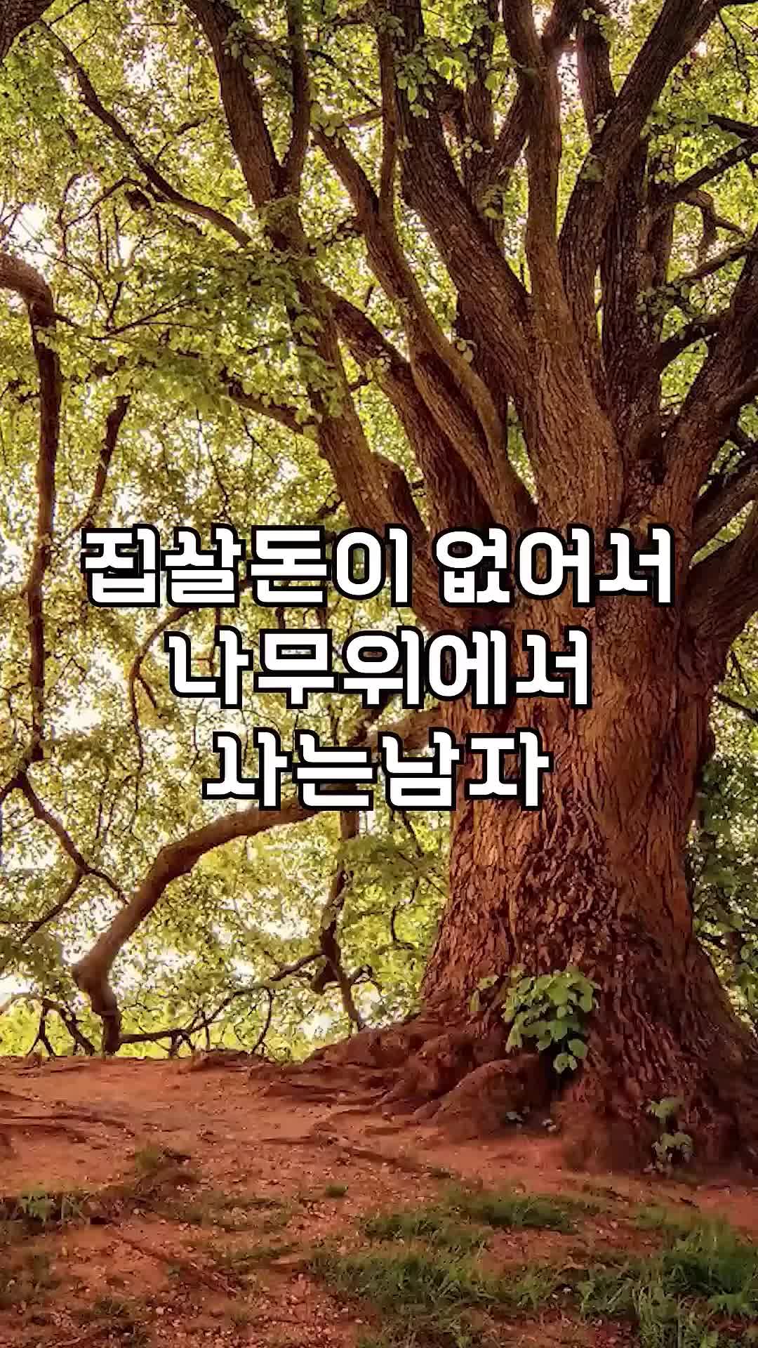 @꿀잼교실