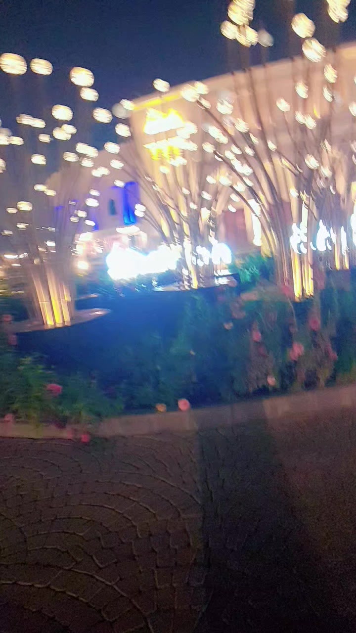 @AMiNA🕊