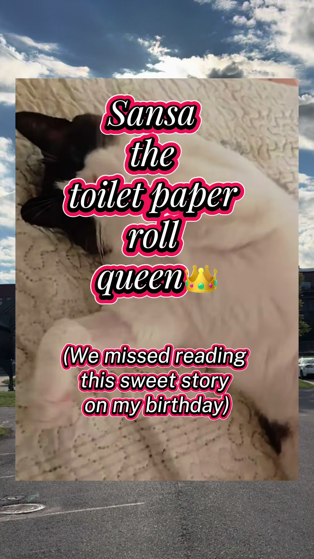 @OurRainbowBridgePets