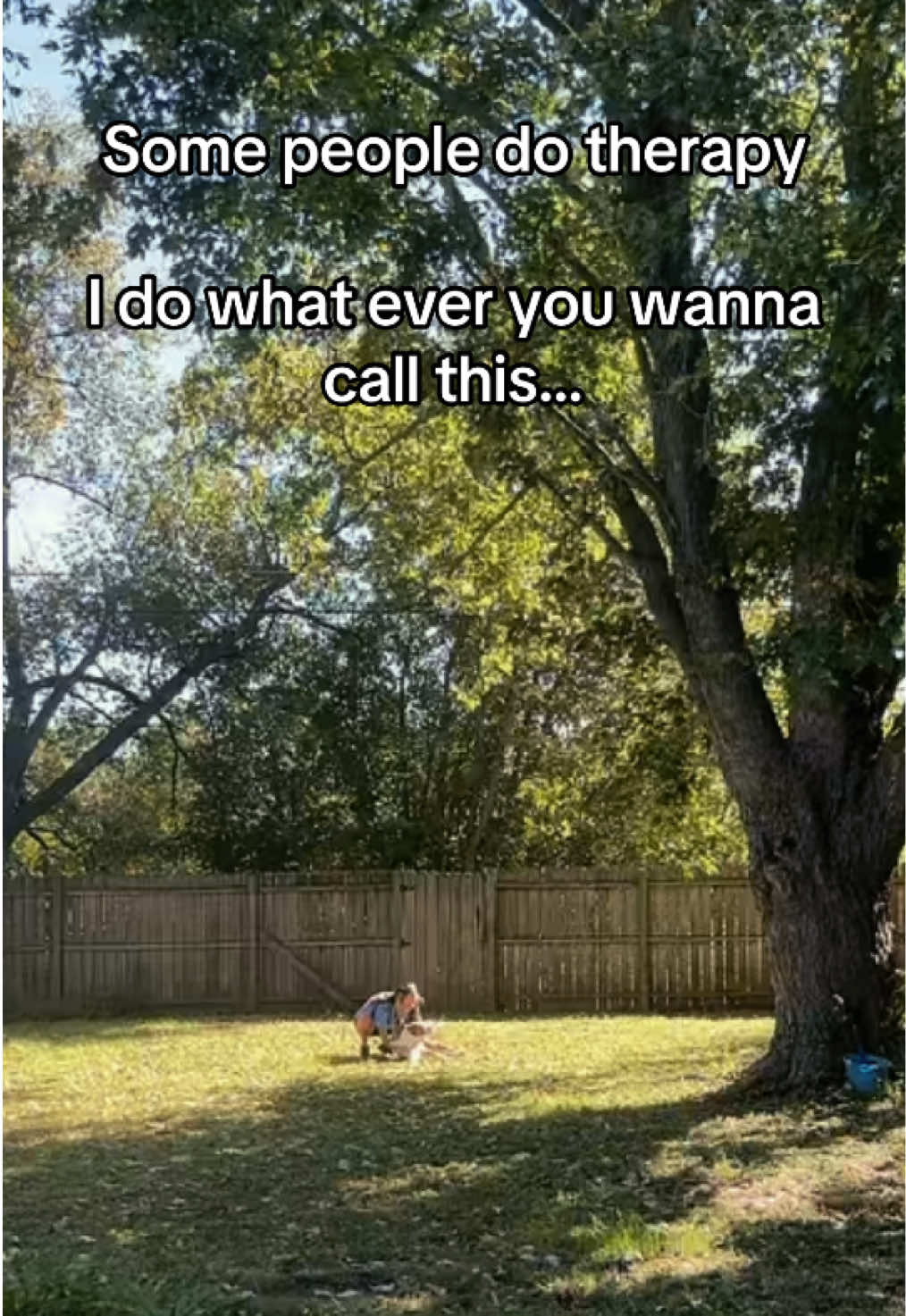 @danilc614🐾