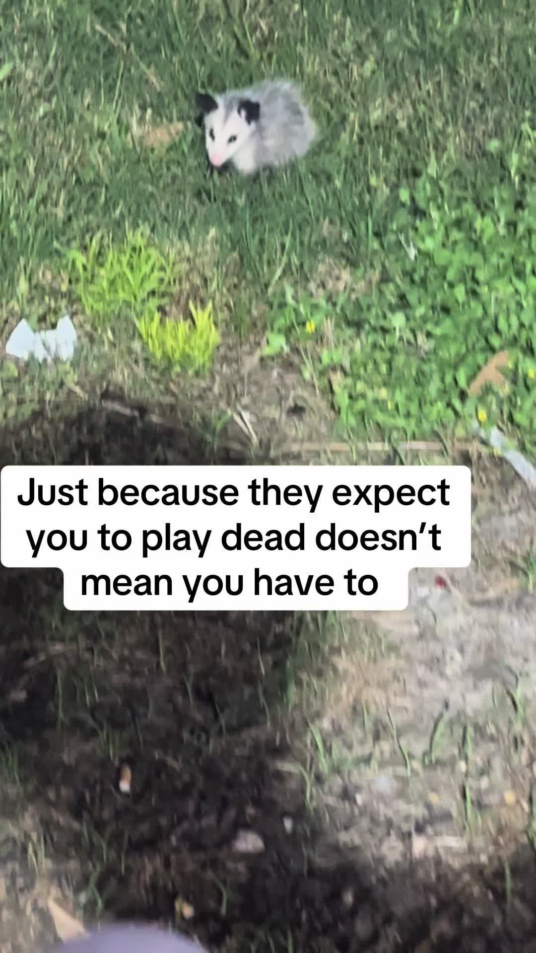 @Alyssa Flores
