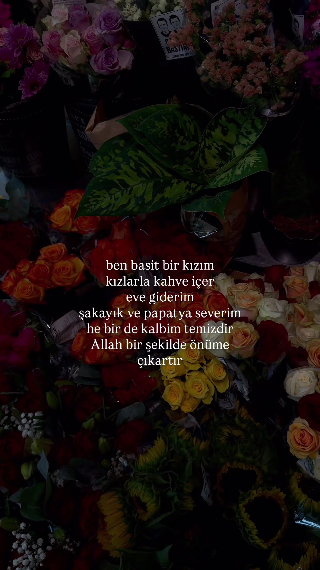 @𝓜.