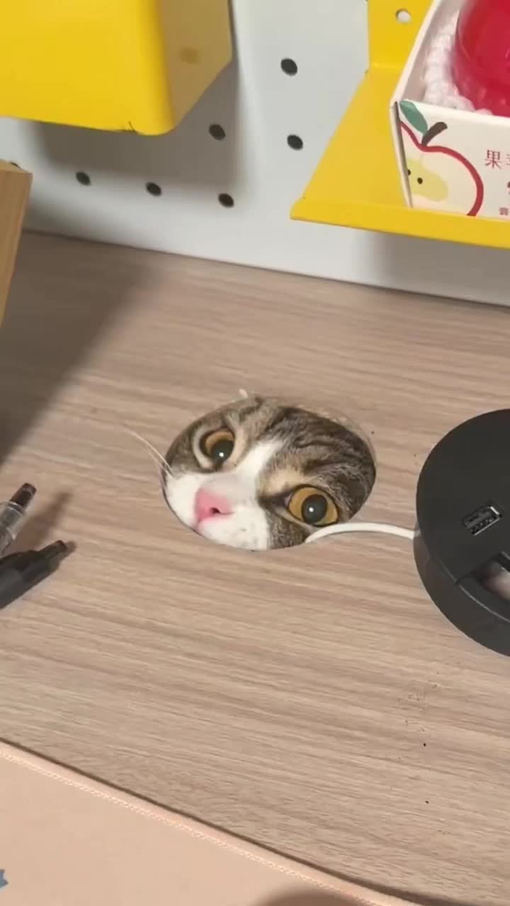 @MoewaiiCat