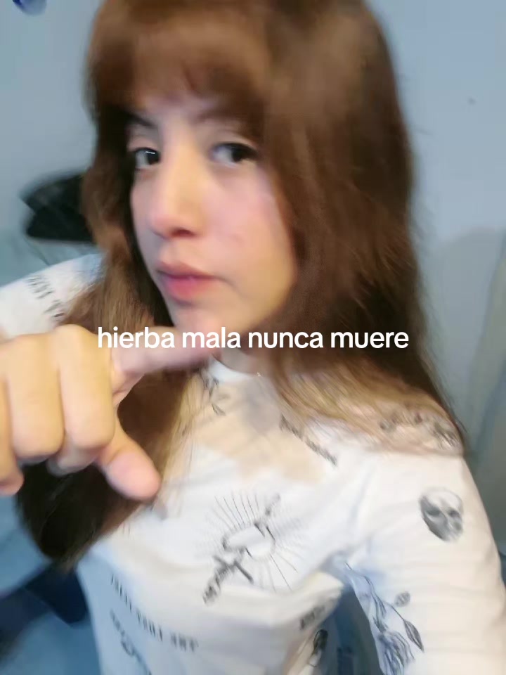 @angysita🦕