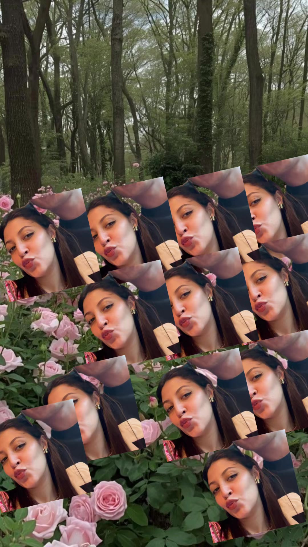 @salxin_ma