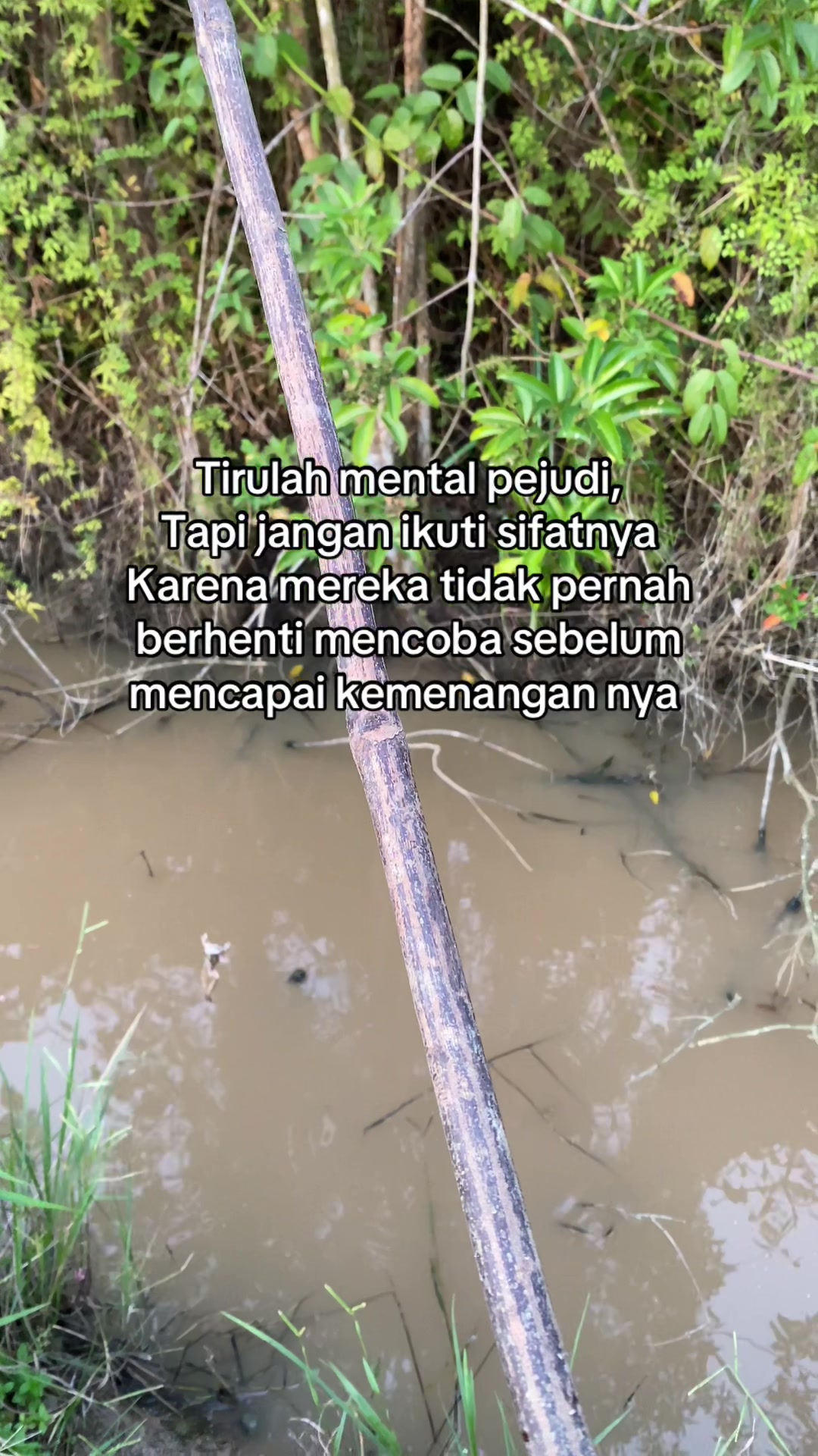 @perintis. muda