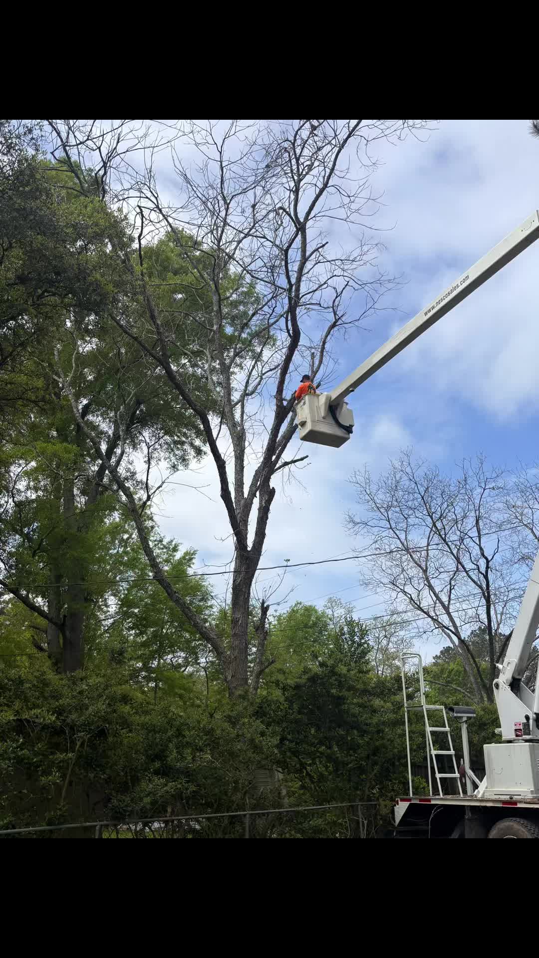 @CSR Tree Service, LLC.