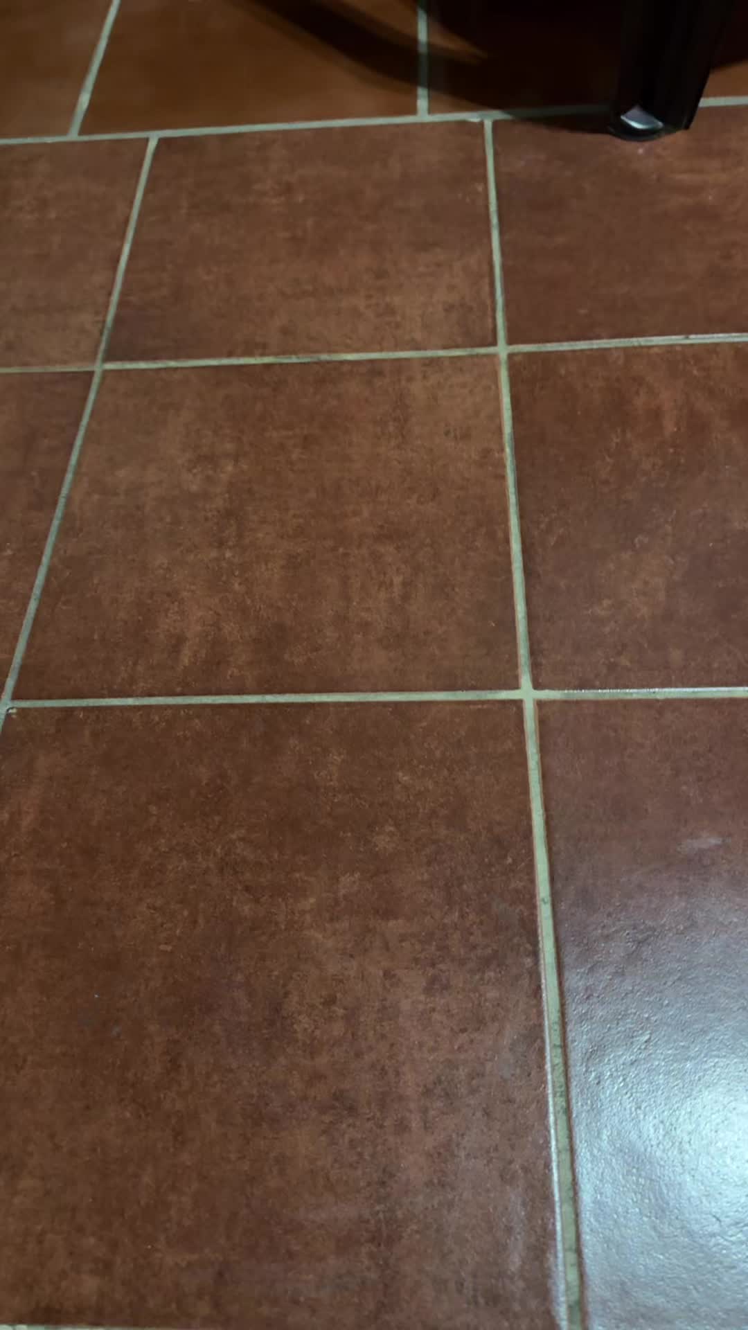 @Luzalcantara 8040