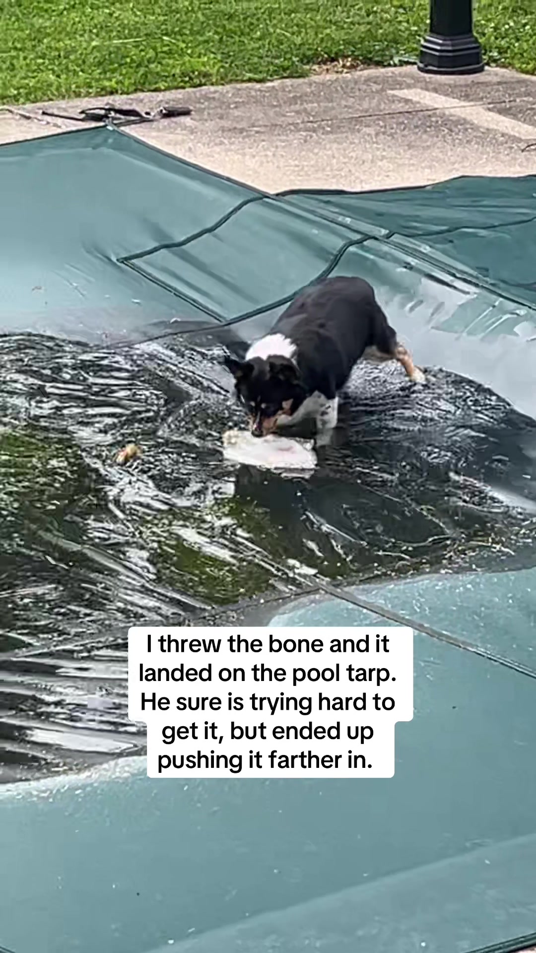 @sensitiverebel