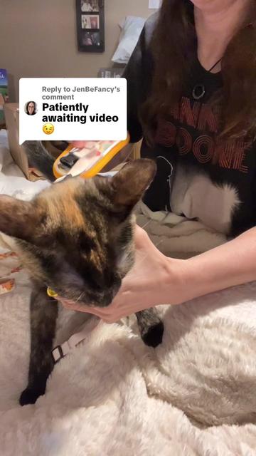 @nana_loves_tiktok