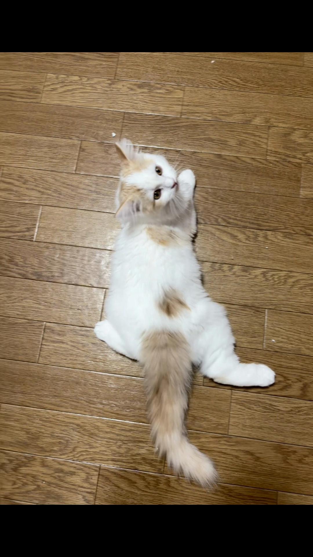 @Kiki