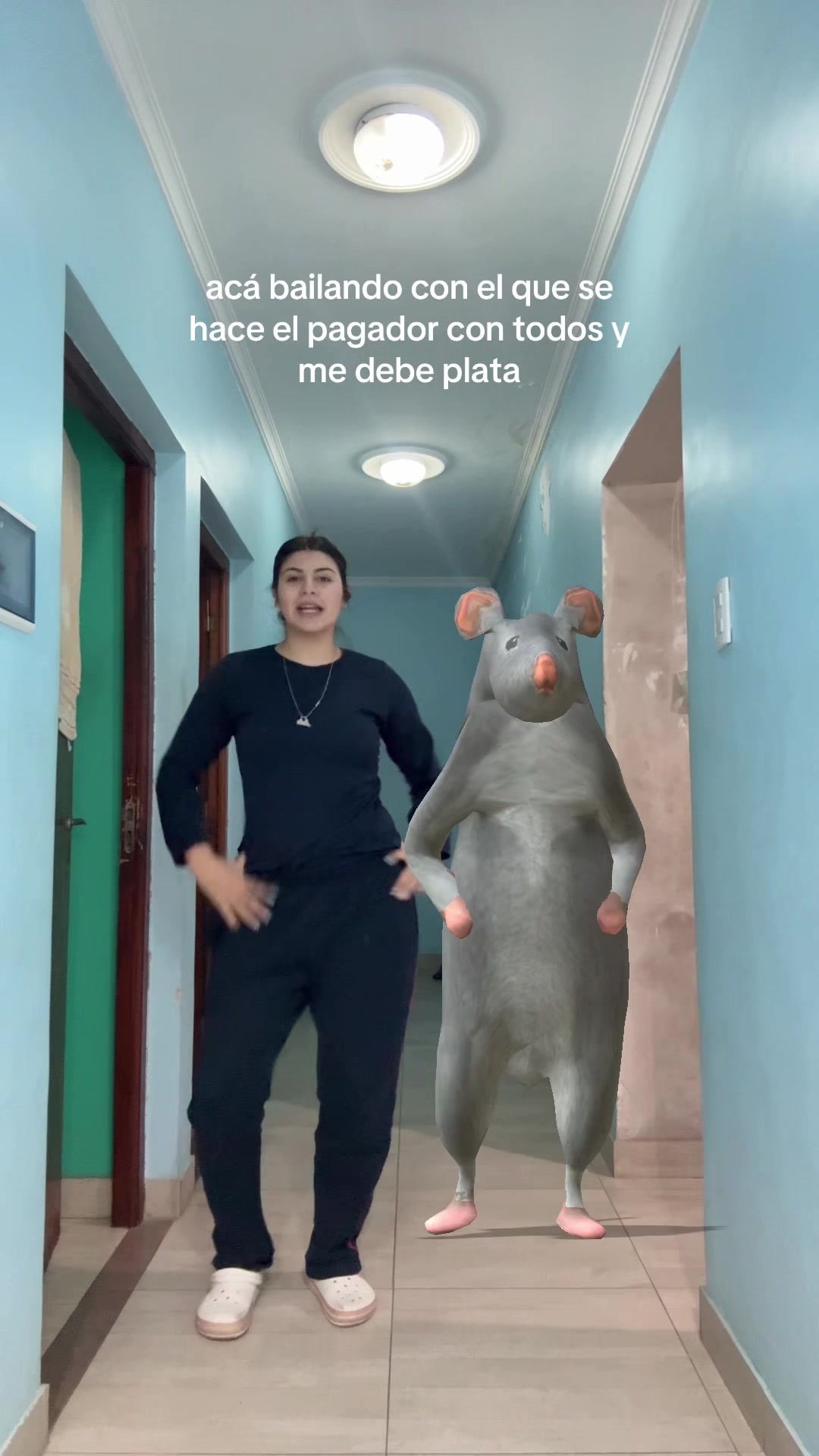 @luuli 𐙚