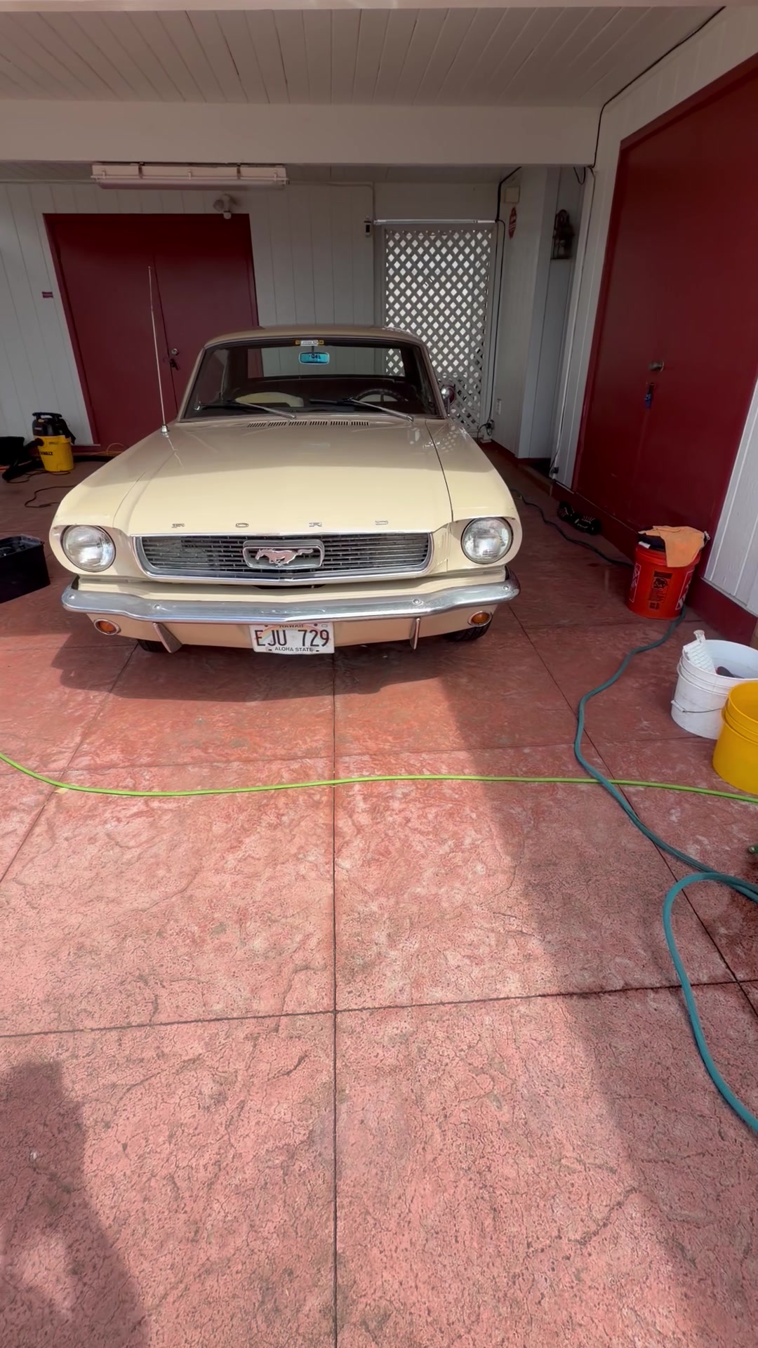 @wipeoutdetailing