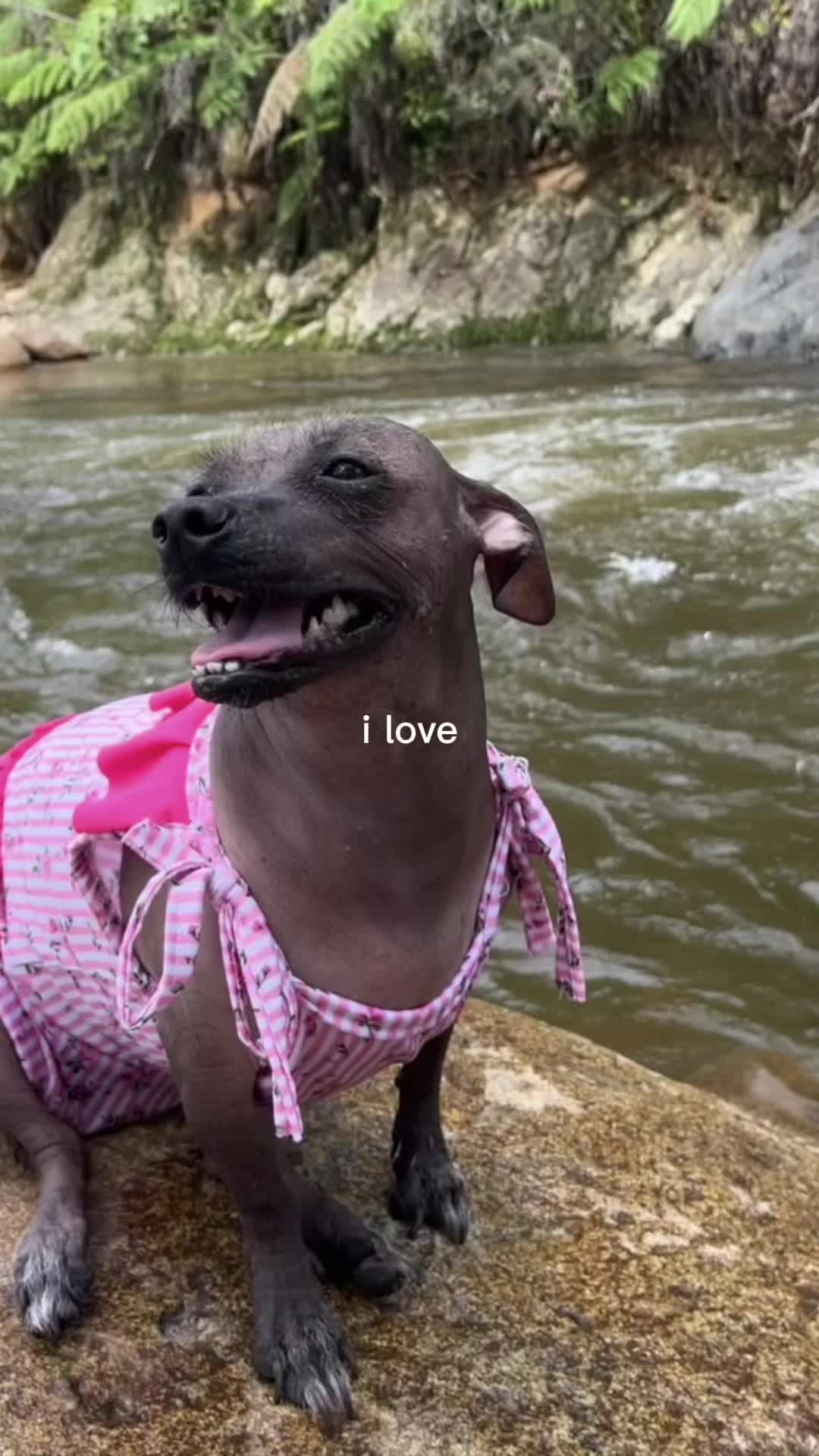 @Lilo