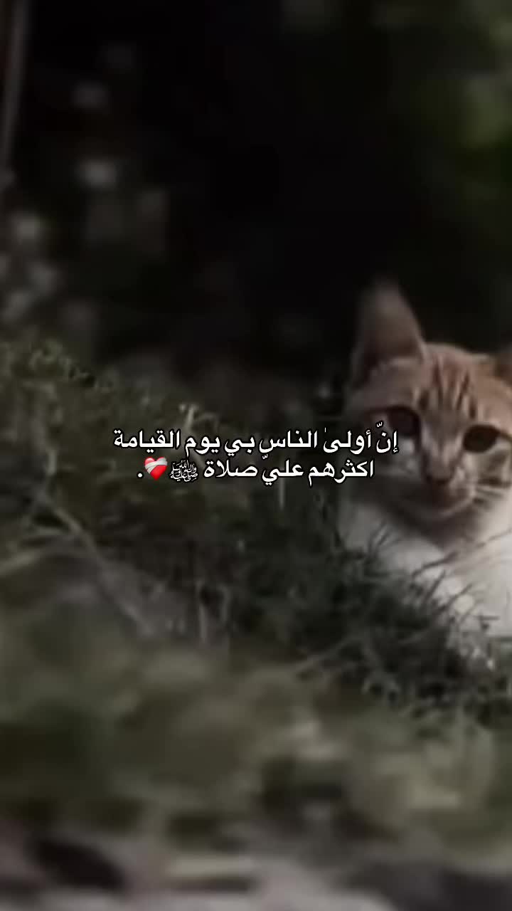 @إبـريـِكـة.
