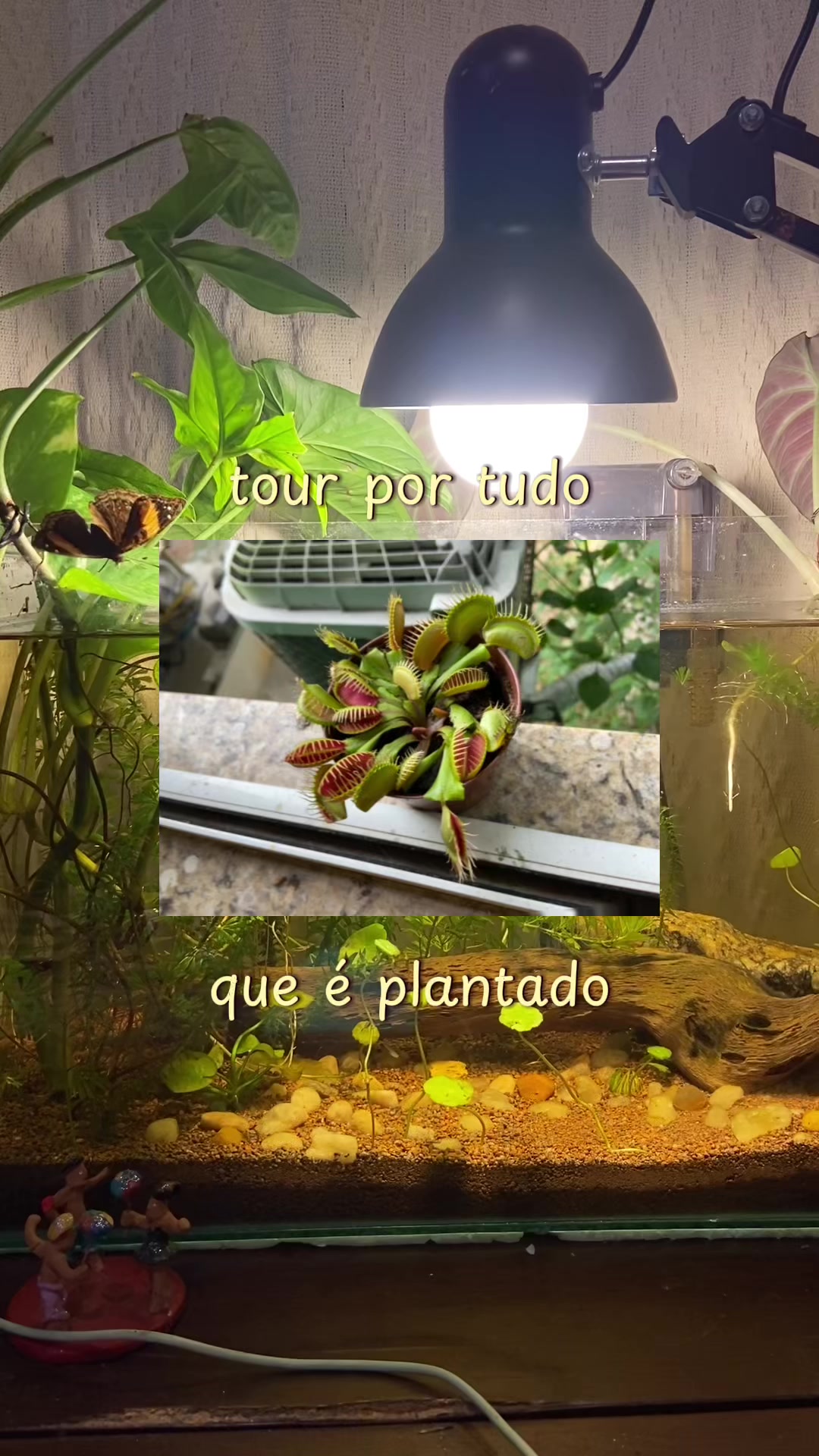 @𝓐manda