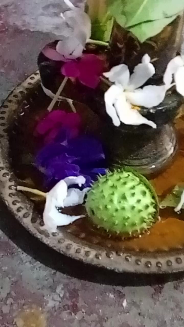 @🙏🙏Jay Shree Ram🙏🙏