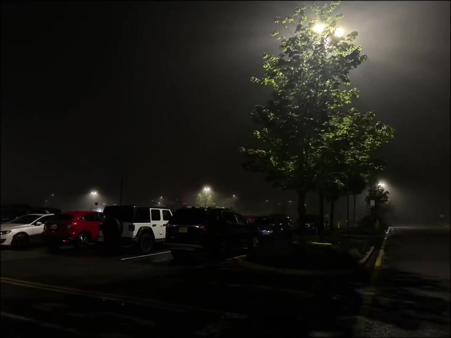 @𝐓𝐑𝐈𝐁𝐋𝐄𝐗