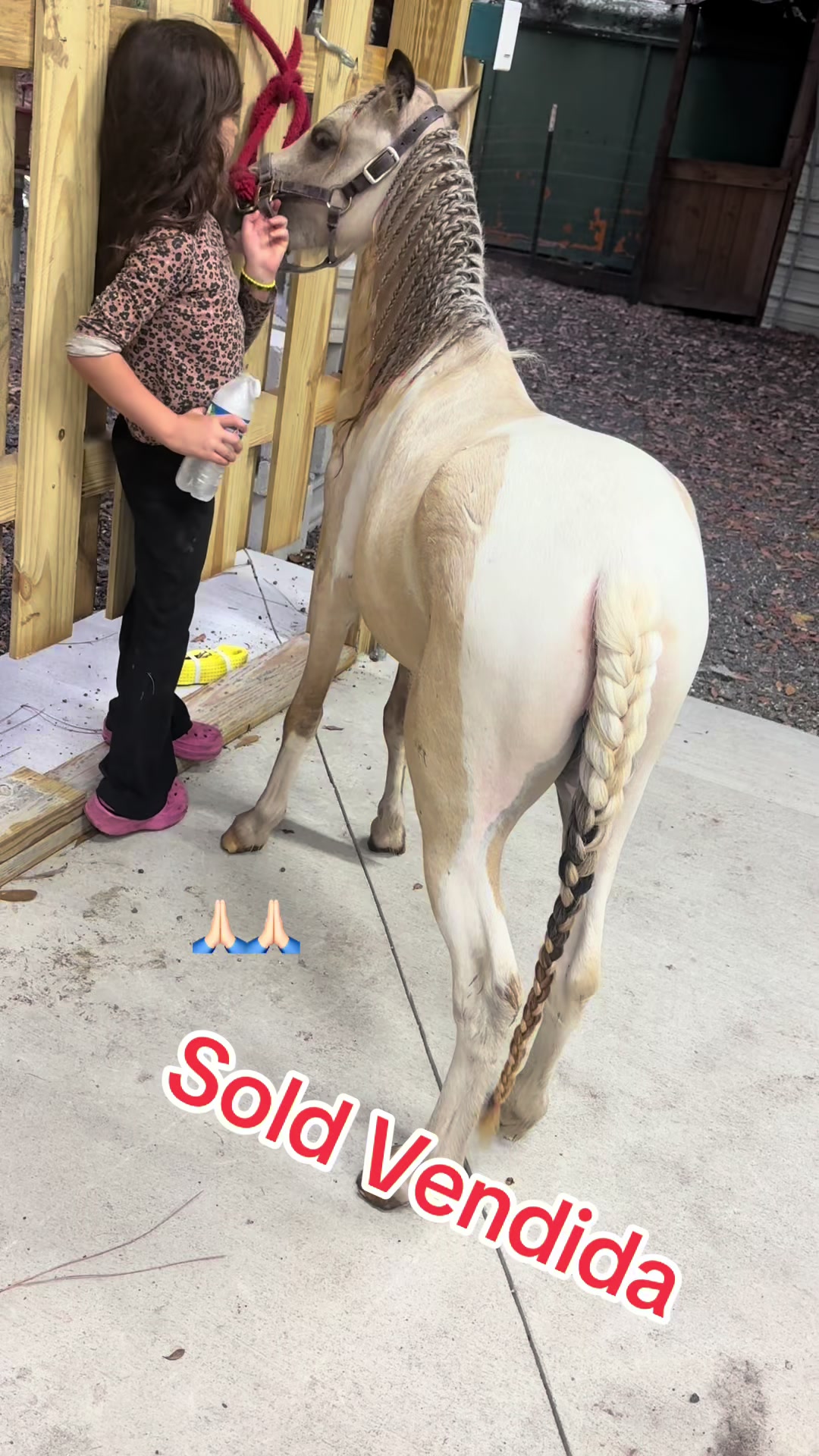 @Danny