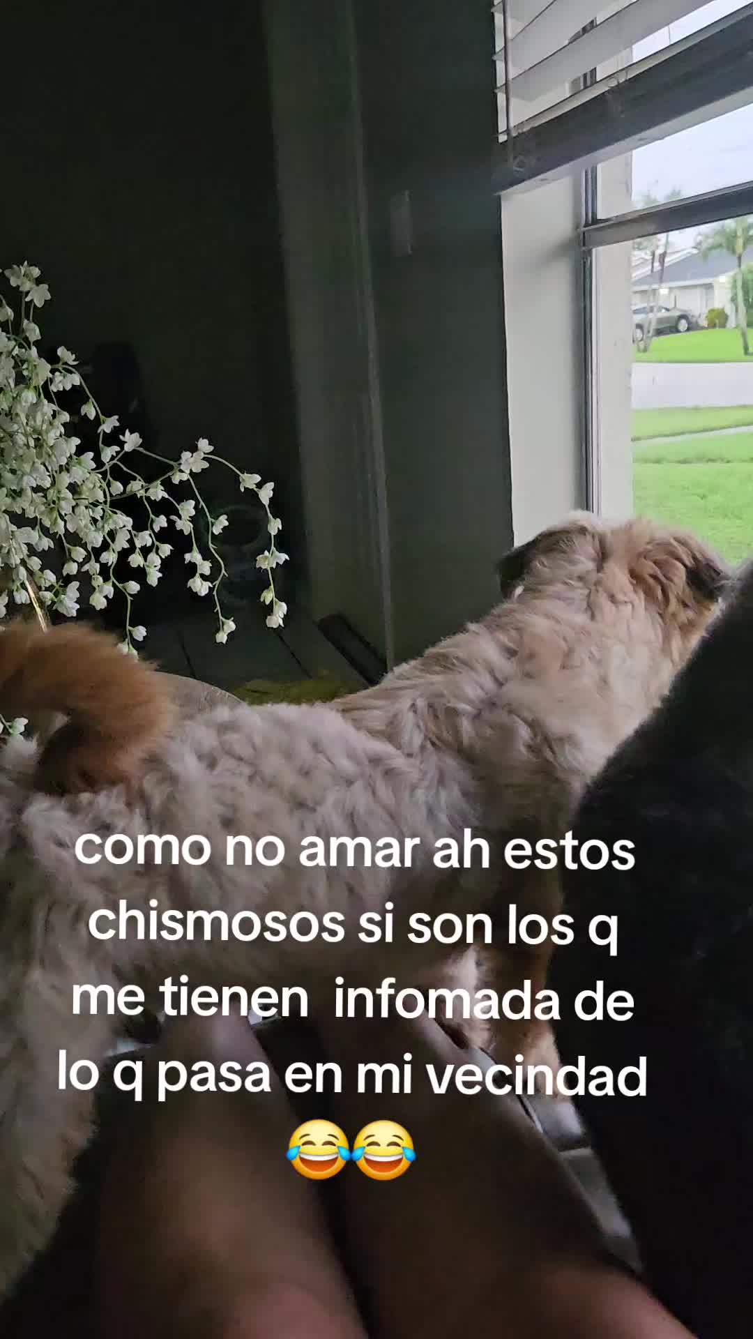 @Carmen