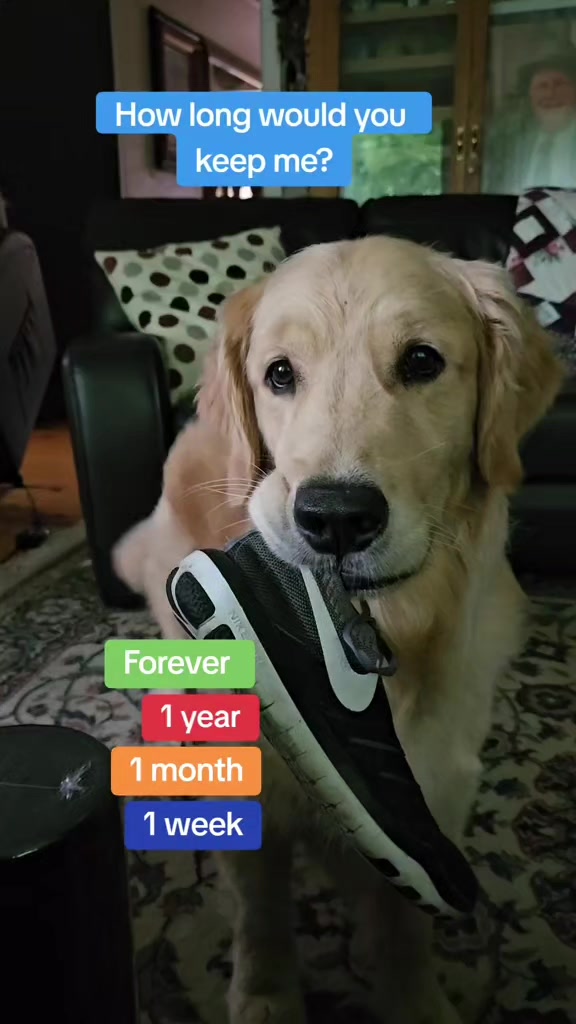 @🐶Griffin