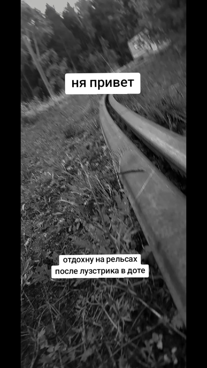 @Golovach_04_C_Layna