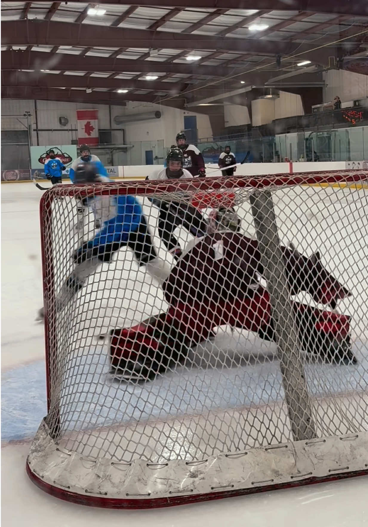 @The TikTok Goalie