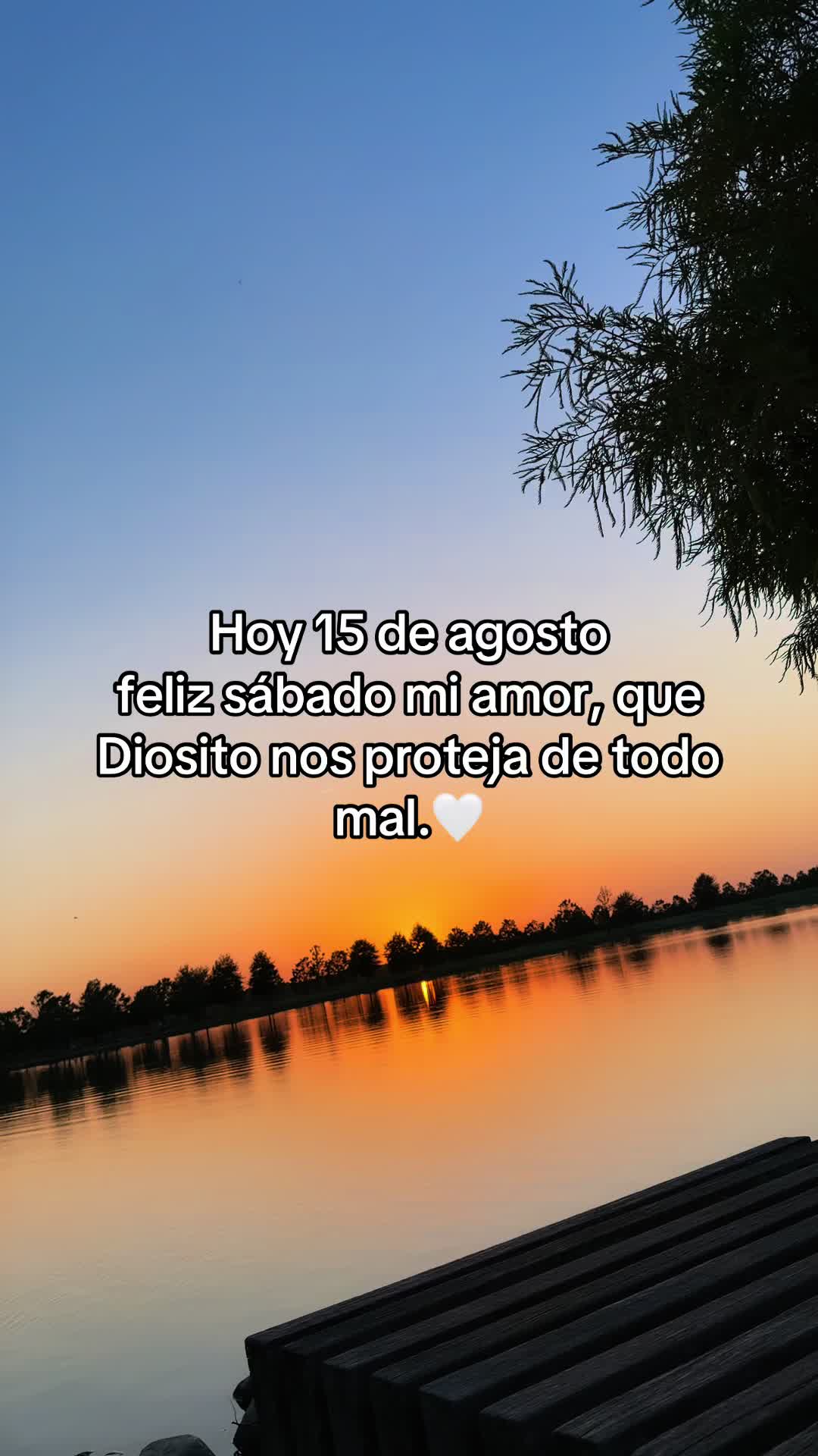 @rolitas502🇬🇹