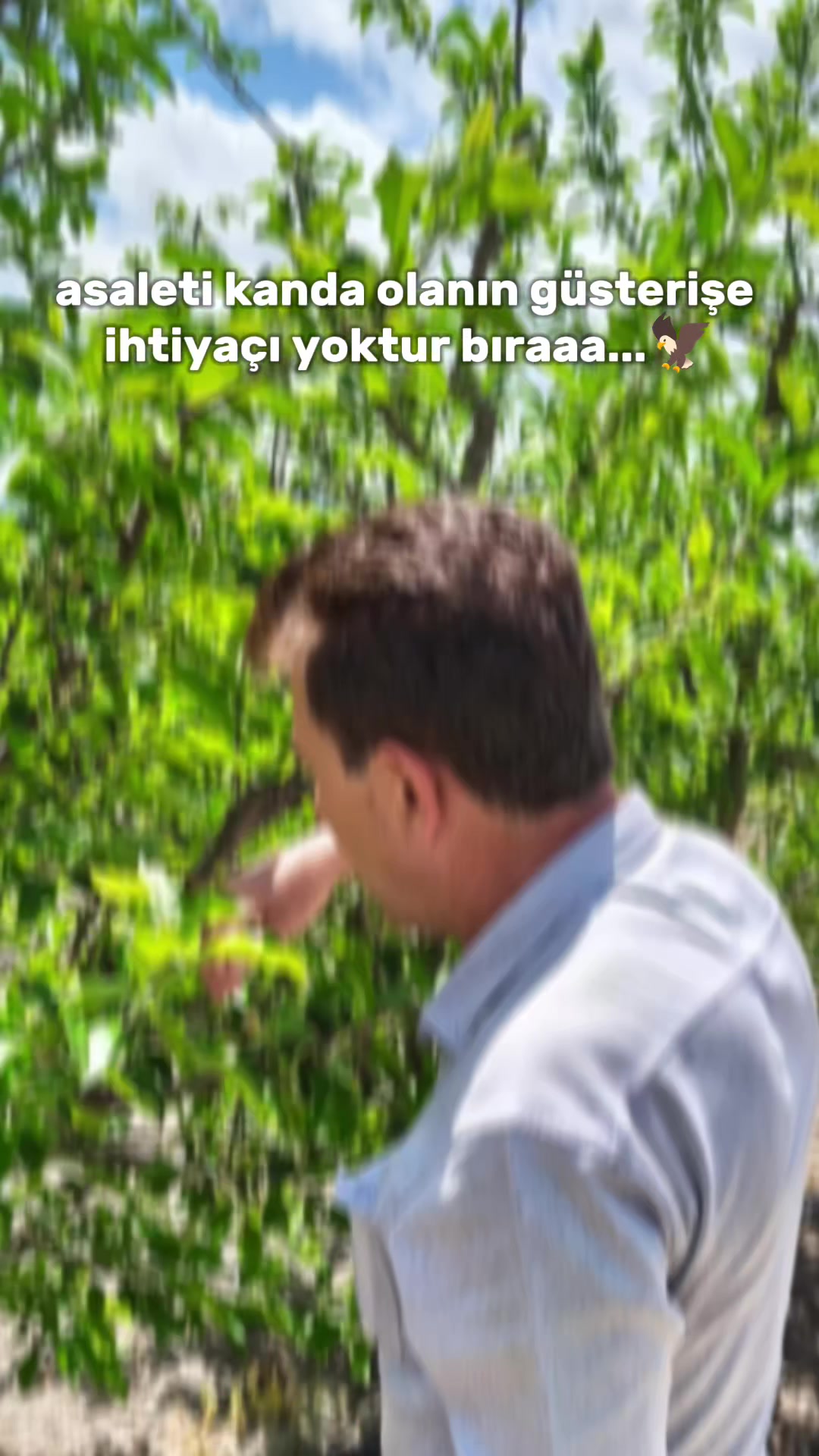@Emre Demirtas
