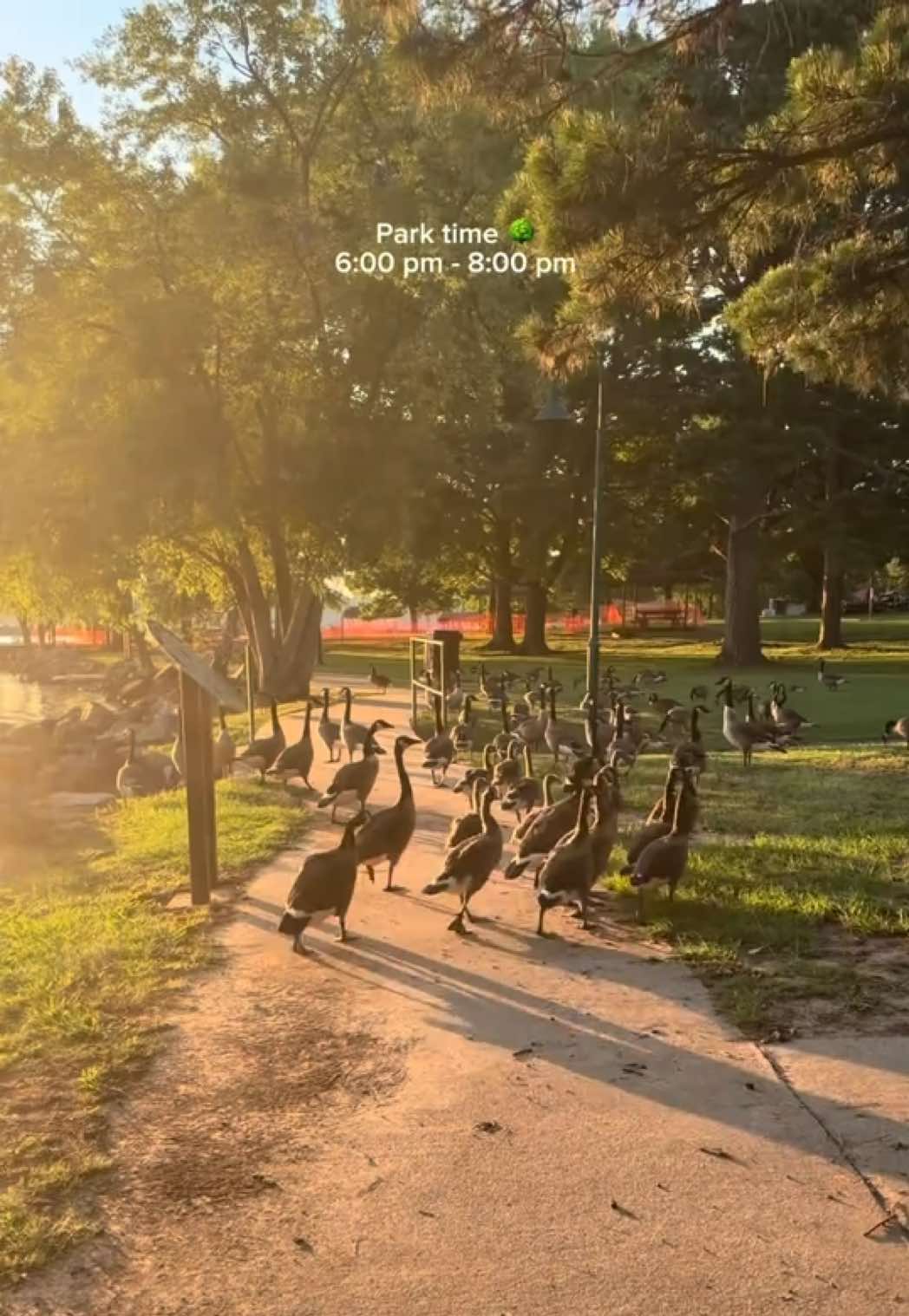 @🇸🇻