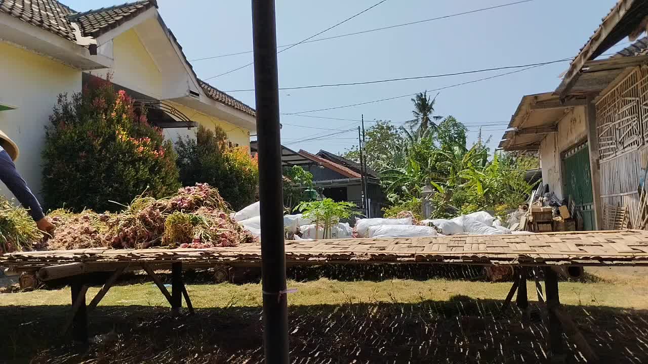 @Renata